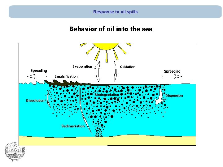 Response to oil spills Behavior of oil into the sea 