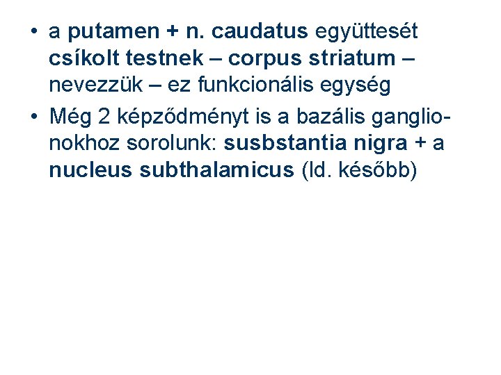  • a putamen + n. caudatus együttesét csíkolt testnek – corpus striatum –