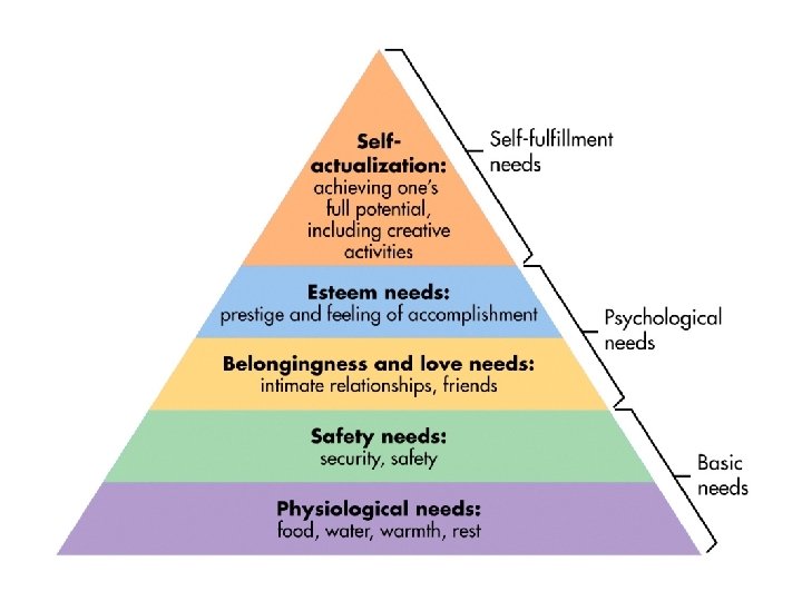 Maslow’s Hierarchy of Needs • Definition of Hierarchy – 