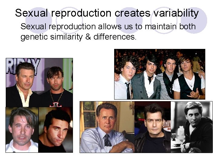 Sexual reproduction creates variability Sexual reproduction allows us to maintain both genetic similarity &