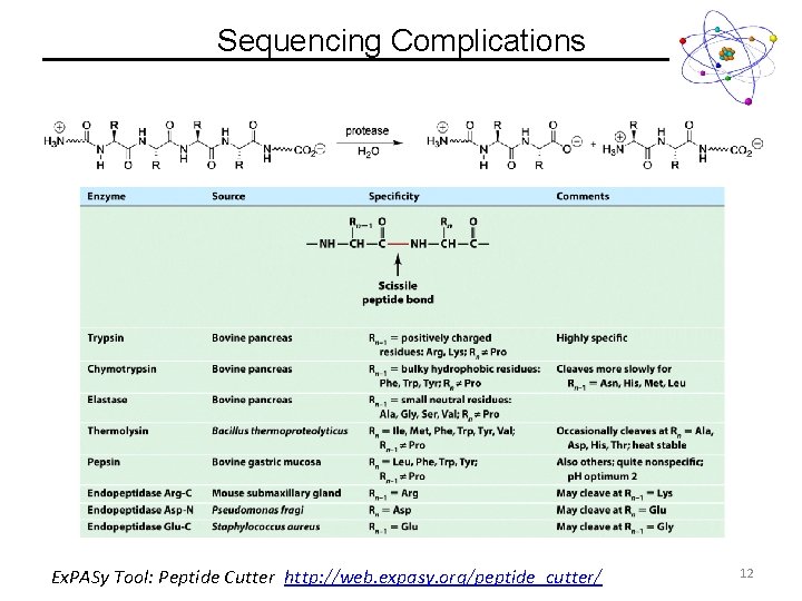 Sequencing Complications Ex. PASy Tool: Peptide Cutter http: //web. expasy. org/peptide_cutter/ 12 