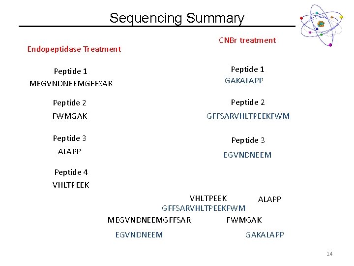 Sequencing Summary Endopeptidase Treatment CNBr treatment Peptide 1 GAKALAPP Peptide 1 MEGVNDNEEMGFFSAR Peptide 2