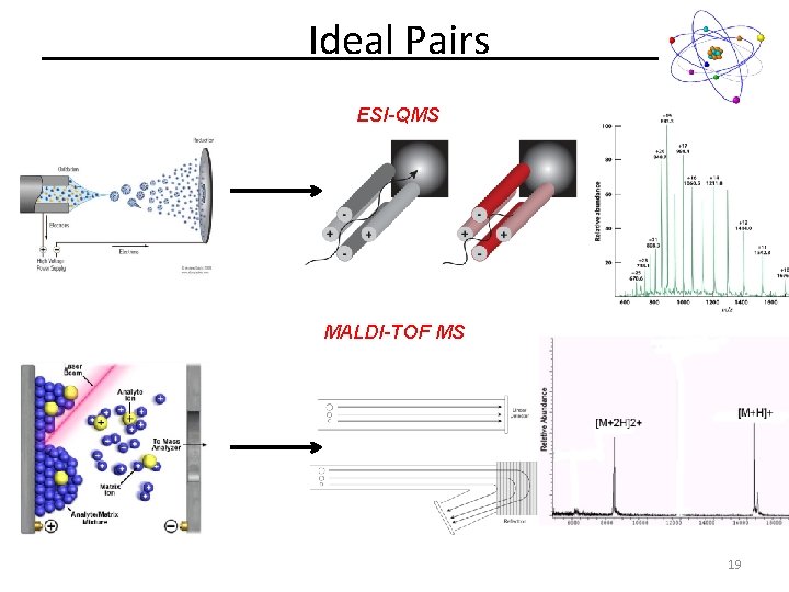 Ideal Pairs ESI-QMS MALDI-TOF MS 19 