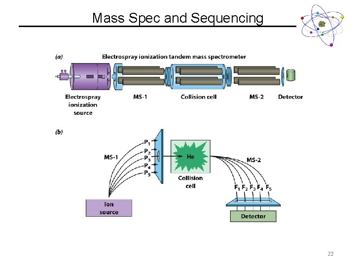Mass Spec and Sequencing 22 