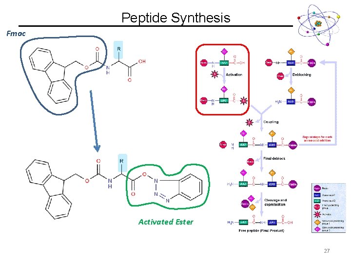 Peptide Synthesis Fmoc Activated Ester 27 