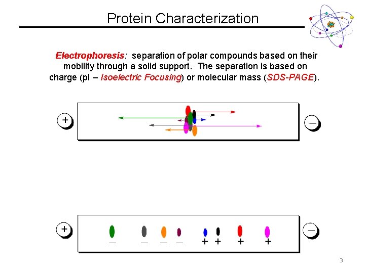Protein Characterization Electrophoresis: separation of polar compounds based on their mobility through a solid