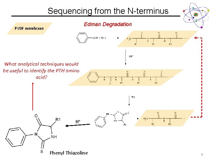 Sequencing from the N-terminus Edman Degradation PVDF membrane What analytical techniques would be useful