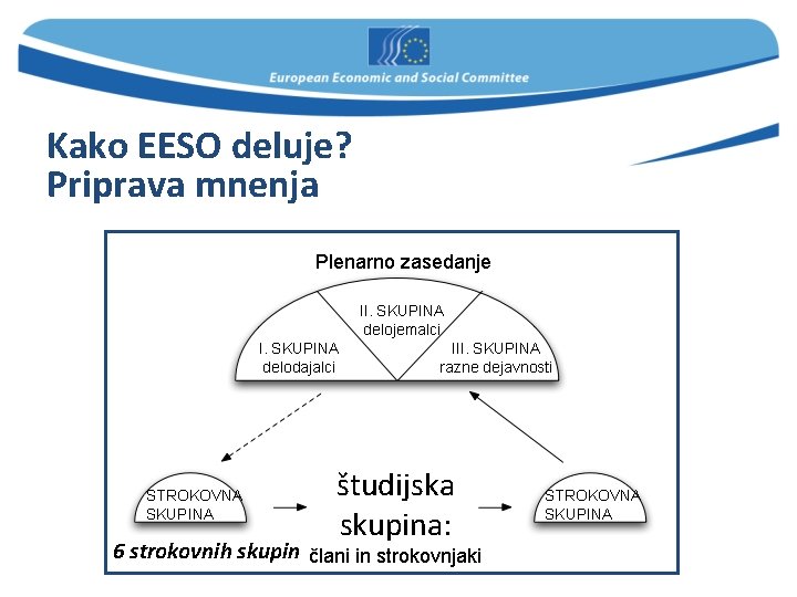 Kako EESO deluje? Priprava mnenja Plenarno zasedanje II. SKUPINA delojemalci I. SKUPINA delodajalci STROKOVNA