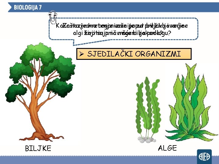 Zašto je kretanje važnije za preživljavanje Kako nazivamo organizme poput biljaka i većine nego