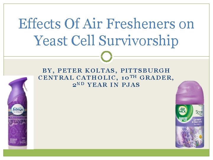 Effects Of Air Fresheners on Yeast Cell Survivorship BY, PETER KOLTAS, PITTSBURGH CENTRAL CATHOLIC,