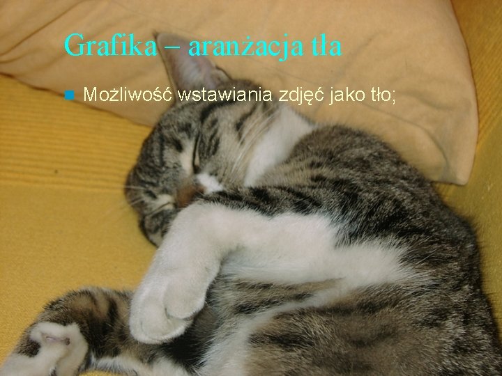 Grafika – aranżacja tła n Możliwość wstawiania zdjęć jako tło; 