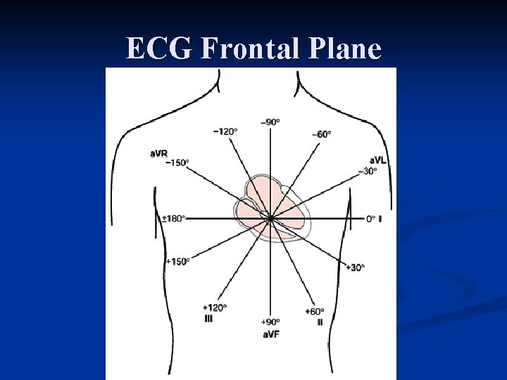 ECG Frontal Plane 