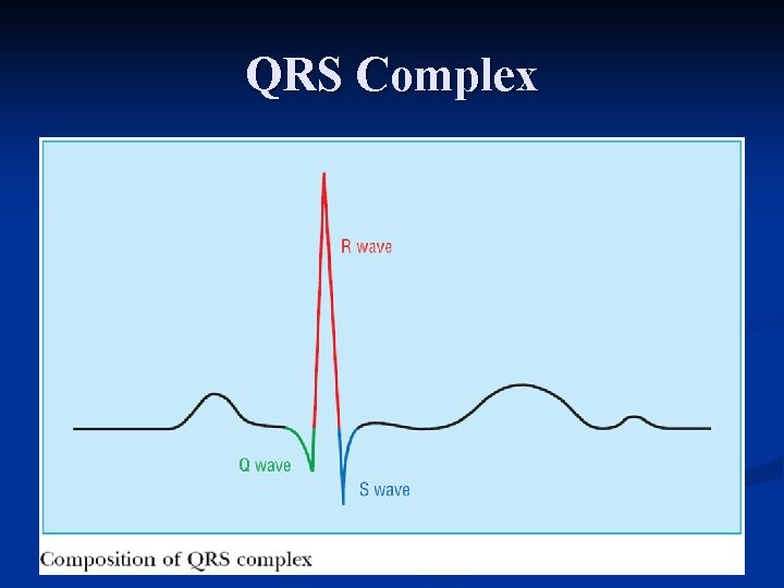 QRS Complex 