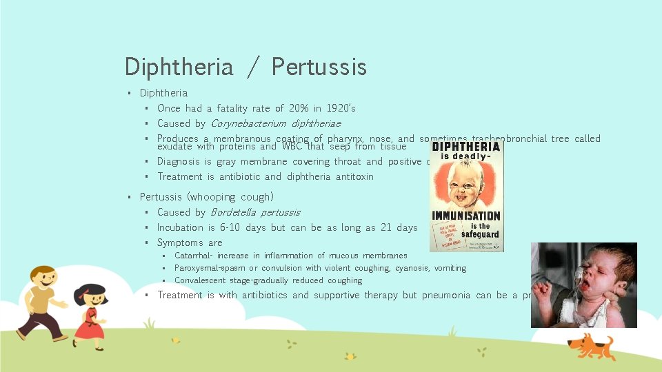 Diphtheria / Pertussis § § Diphtheria § Once had a fatality rate of 20%