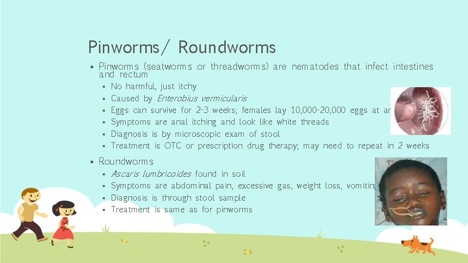 Pinworms/ Roundworms § Pinworms (seatworms or threadworms) are nematodes that infect intestines and rectum