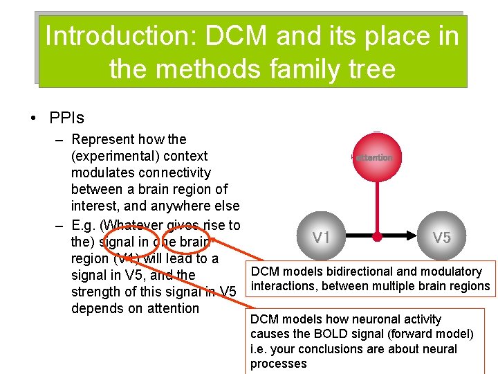 Introduction: DCM and its place in the methods family tree • PPIs – Represent