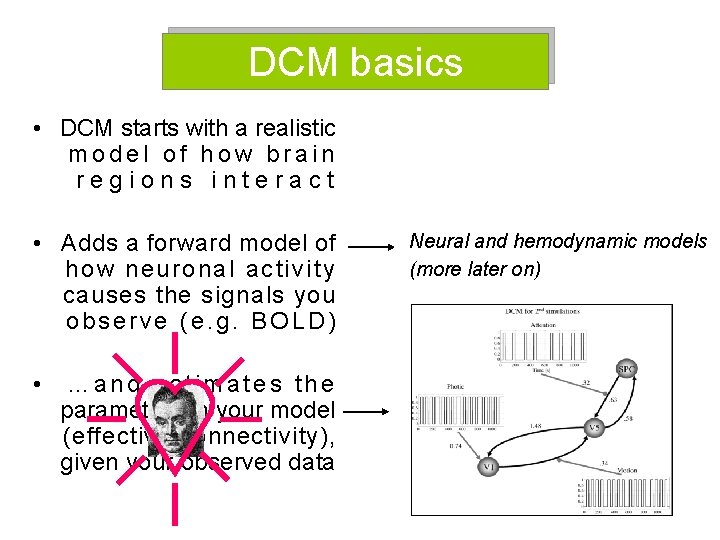 DCM basics • DCM starts with a realistic model of how brain regions interact