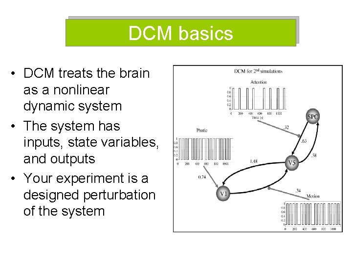 DCM basics • DCM treats the brain as a nonlinear dynamic system • The