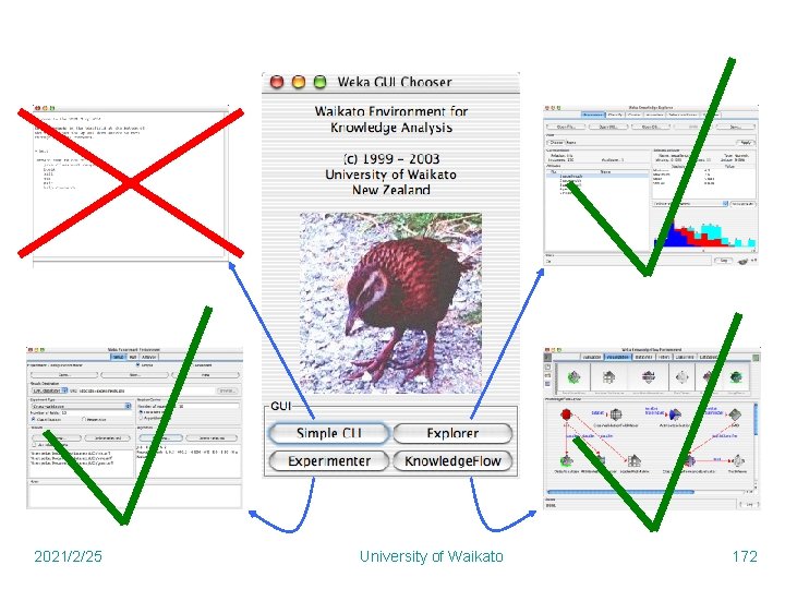 2021/2/25 University of Waikato 172 