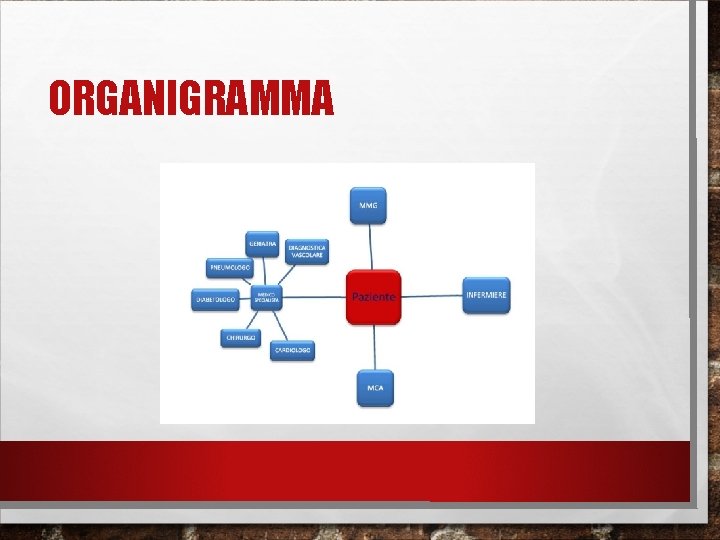 ORGANIGRAMMA 