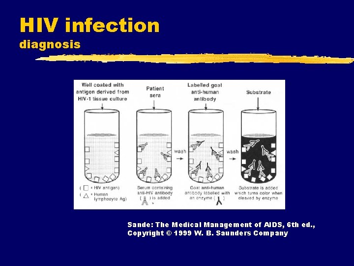 HIV infection diagnosis Sande: The Medical Management of AIDS, 6 th ed. , Copyright