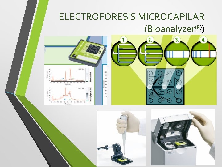 ELECTROFORESIS MICROCAPILAR (Bioanalyzer(R)) 