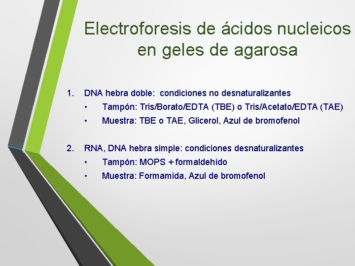 Electroforesis de ácidos nucleicos en geles de agarosa 1. 2. DNA hebra doble: condiciones