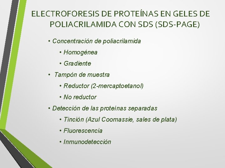 ELECTROFORESIS DE PROTEÍNAS EN GELES DE POLIACRILAMIDA CON SDS (SDS-PAGE) • Concentración de poliacrilamida
