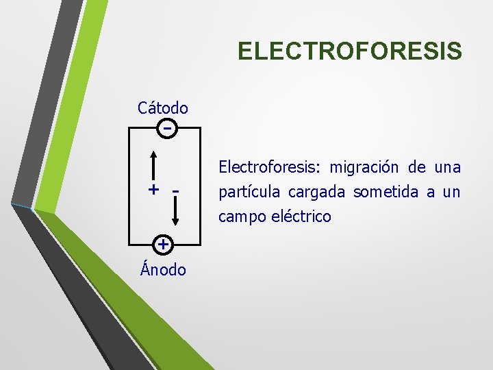 ELECTROFORESIS Cátodo - + + Ánodo Electroforesis: migración de una partícula cargada sometida a