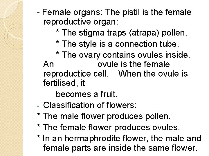 - Female organs: The pistil is the female reproductive organ: * The stigma traps