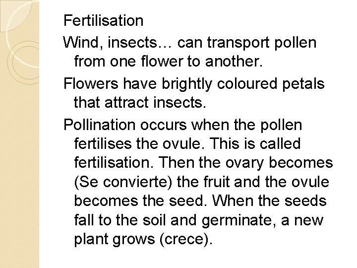 Fertilisation Wind, insects… can transport pollen from one flower to another. Flowers have brightly