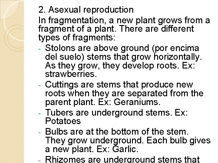 2. Asexual reproduction In fragmentation, a new plant grows from a fragment of a