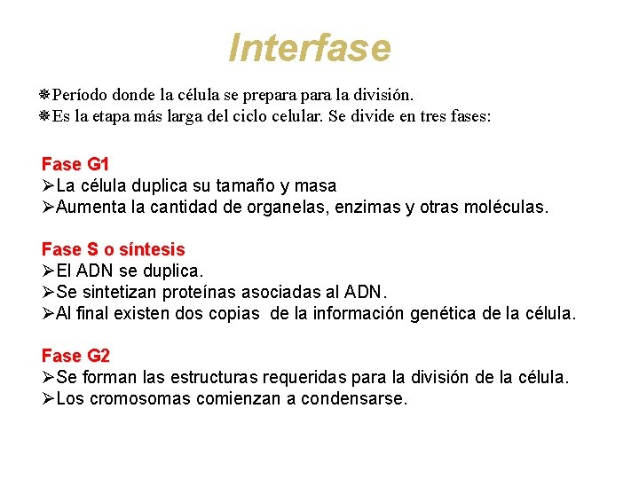 Interfase ¯Período donde la célula se prepara la división. ¯Es la etapa más larga