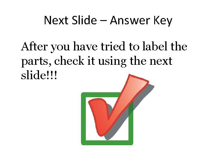 Next Slide – Answer Key After you have tried to label the parts, check