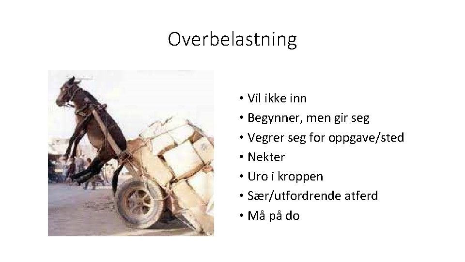 Overbelastning • Vil ikke inn • Begynner, men gir seg • Vegrer seg for