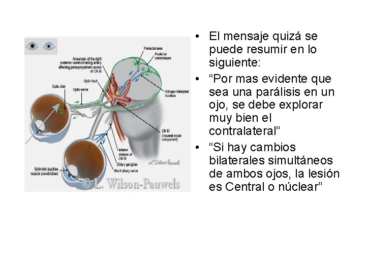  • El mensaje quizá se puede resumir en lo siguiente: • “Por mas