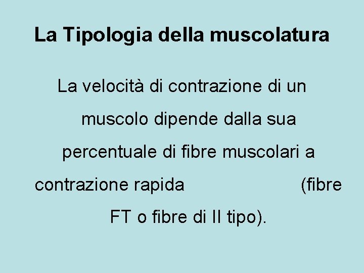 La Tipologia della muscolatura La velocità di contrazione di un muscolo dipende dalla sua La Tipologia della muscolatura La velocità di contrazione di un muscolo dipende dalla sua