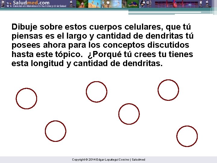 Dibuje sobre estos cuerpos celulares, que tú piensas es el largo y cantidad de