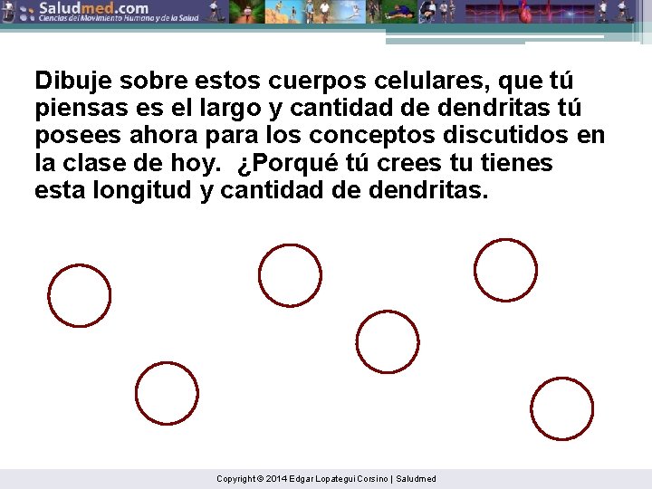 Dibuje sobre estos cuerpos celulares, que tú piensas es el largo y cantidad de