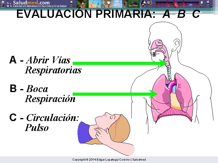 EVALUACIÓN PRIMARIA: A B C A - Abrir Vías Respiratorias B - Boca Respiración