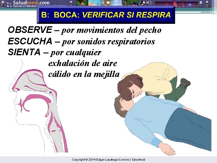 OBSERVE – por movimientos del pecho ESCUCHA – por sonidos respiratorios SIENTA – por