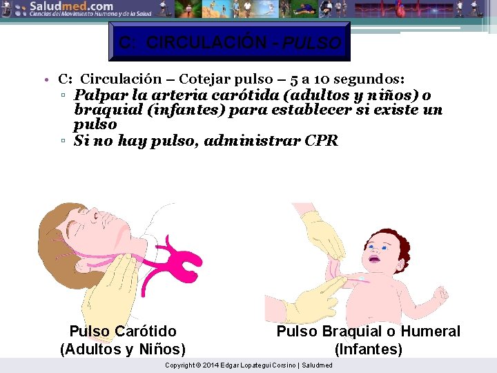 C: CIRCULACIÓN - PULSO • C: Circulación – Cotejar pulso – 5 a 10