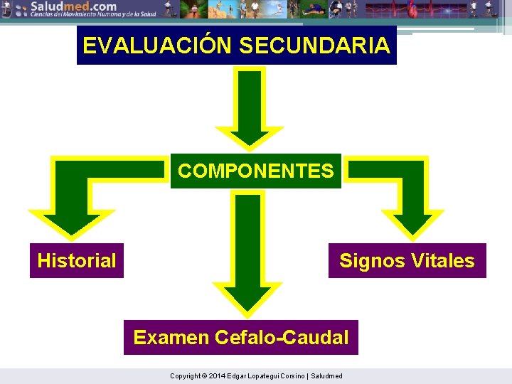 EVALUACIÓN SECUNDARIA COMPONENTES Historial Signos Vitales Examen Cefalo-Caudal Copyright © 2014 Edgar Lopategui Corsino