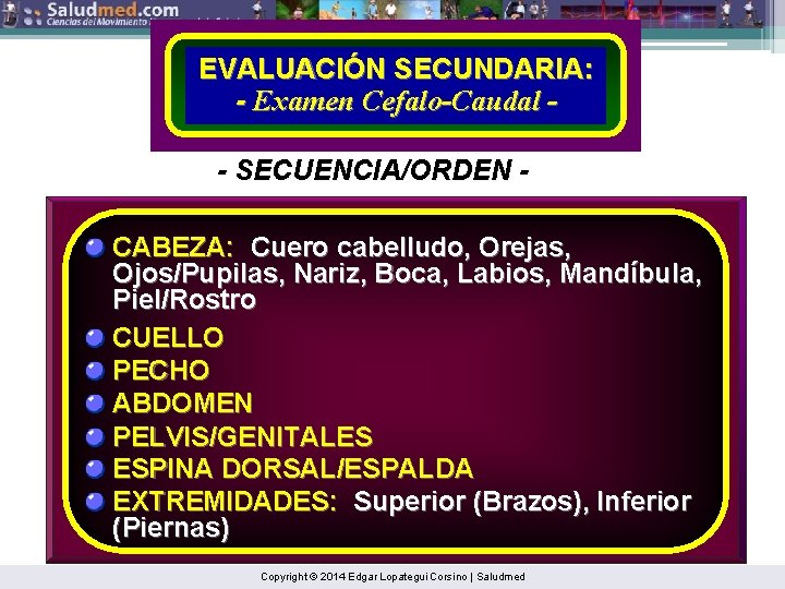 EVALUACIÓN SECUNDARIA: - Examen Cefalo-Caudal - SECUENCIA/ORDEN CABEZA: Cuero cabelludo, Orejas, Ojos/Pupilas, Nariz, Boca,