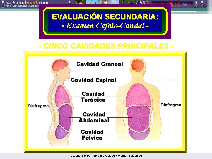 EVALUACIÓN SECUNDARIA: - Examen Cefalo-Caudal - CINCO CAVIDADES PRINCIPALES - Copyright © 2014 Edgar