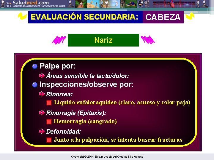 EVALUACIÓN SECUNDARIA: CABEZA Nariz Palpe por: Áreas sensible la tacto/dolor: Inspecciones/observe por: Rinorrea: Líquido