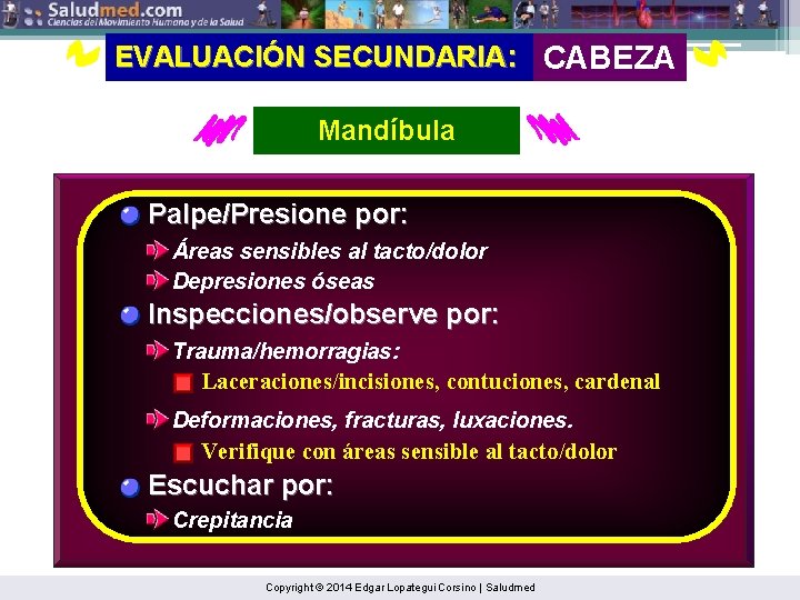 EVALUACIÓN SECUNDARIA: CABEZA Mandíbula Palpe/Presione por: Áreas sensibles al tacto/dolor Depresiones óseas Inspecciones/observe por: