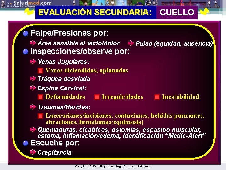 EVALUACIÓN SECUNDARIA: CUELLO Palpe/Presiones por: Área sensible al tacto/dolor Inspecciones/observe por: Pulso (equidad, ausencia)