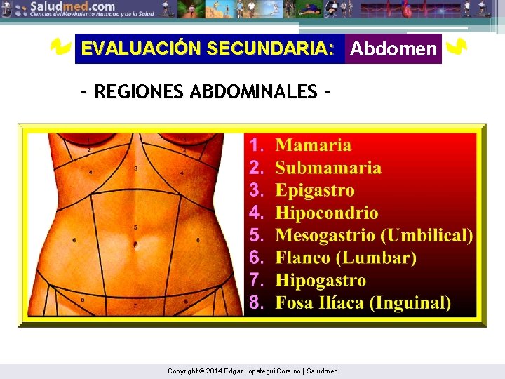 EVALUACIÓN SECUNDARIA: Abdomen - REGIONES ABDOMINALES - Copyright © 2014 Edgar Lopategui Corsino |