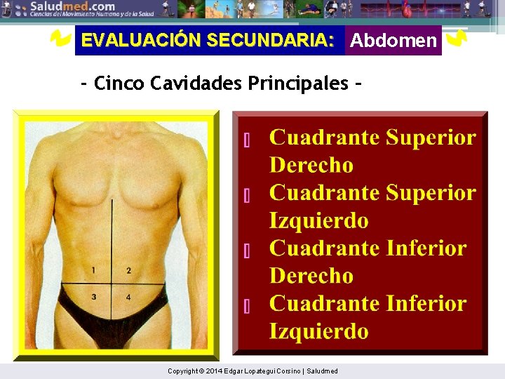EVALUACIÓN SECUNDARIA: Abdomen - Cinco Cavidades Principales - Copyright © 2014 Edgar Lopategui Corsino